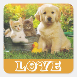 Love Golden Retriever Puppy Dog  Stickers
