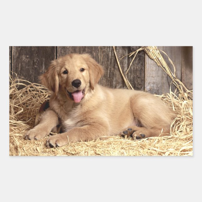 Love Golden Retriever Puppy Dog Stickers (Front)