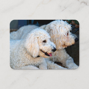 Love Goldendoodles Business Card