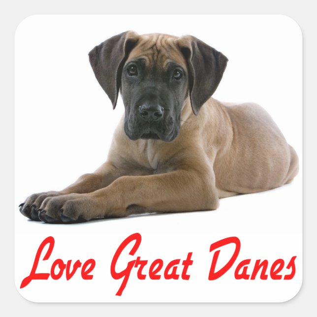 Love Great Dane Puppy Dog Sticker / Seal (Front)