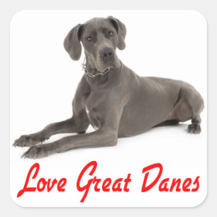 Love Great Dane Puppy Dog Sticker / Seal