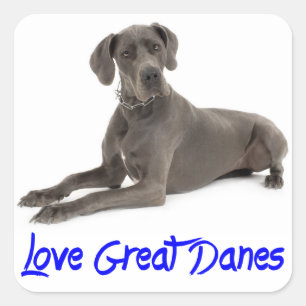 Love Great Dane Puppy Dog Sticker / Seal