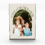 Love Grows Here Modern Arch Cream Photo Block<br><div class="desc">Modern and minimal family memory photo block featuring a photo in a arch frame with a text that says "Love Grows Here" with tiny hearts. Cream.</div>