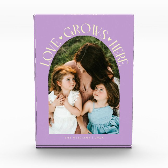 Love Grows Here Modern Arch Lemon Wisteria Photo Block (Front)
