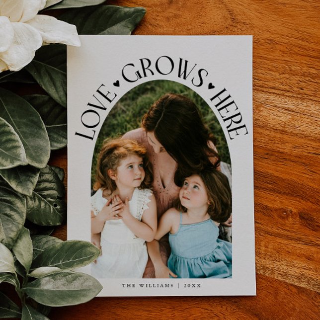 Love Grows Here White Arch Valentines Day Holiday Card (Creator Uploaded)