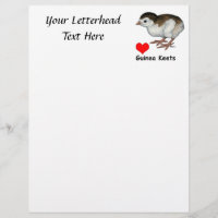 Love Guinea Keets