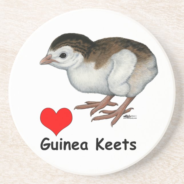 Love Guinea Keets Coaster (Front)
