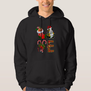 Love Guinea Pig Christmas Lights  Santa Hat Christ Hoodie