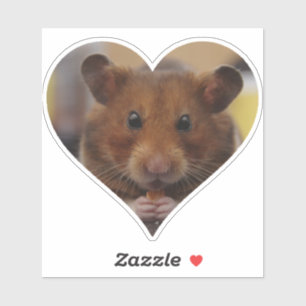 Love Hamsters
