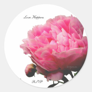 Love Happens Pink Peony Custom Envelope Seals