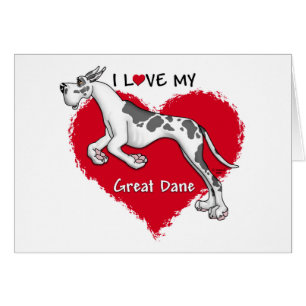 Love Harlequin Great Dane