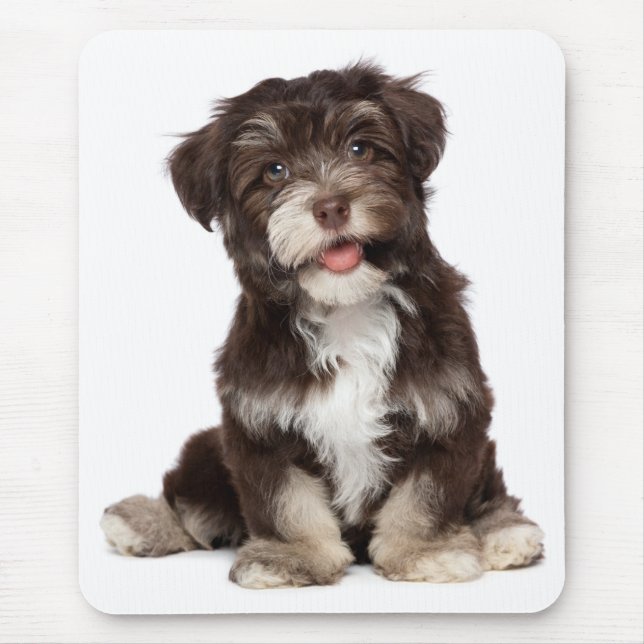 Love Havanese Puppy Dog Mousepad (Front)