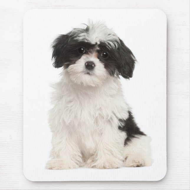 Love Havanese Puppy Dog Mousepad (Front)