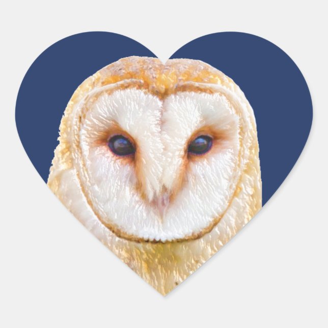 Love Heart Barn Owl Bird Animal Sticker (Front)