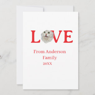Love holidays cat photo pet family name bold lette invitation