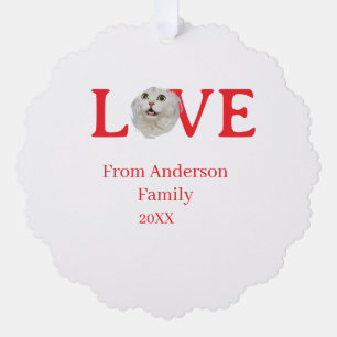 Love holidays cat photo pet family name bold lette ornament card