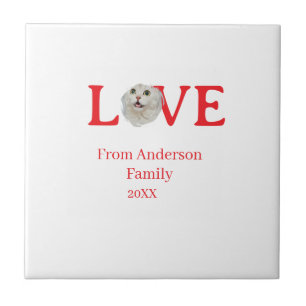 Love holidays cat photo pet family name bold lette tile
