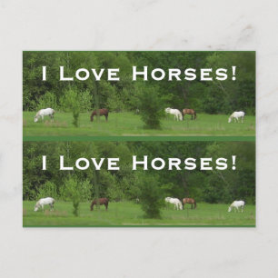 Love Horses! Bookmarkers - Customize! Postcard
