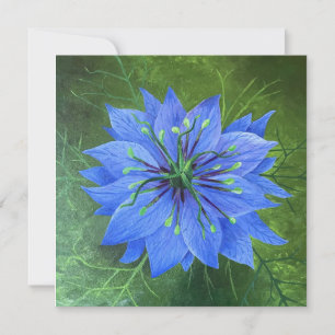 Love in a Mist