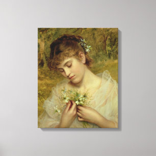 Love in a Mist (oil on canvas) Canvas Print
