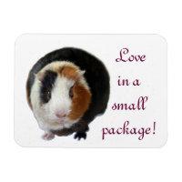 Love In A Small Package