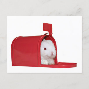 Love in the mail postcard