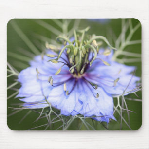 Love in the Mist flower Mousepad