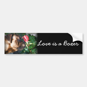 Love is a Boxer dog and rose bumper sticker
