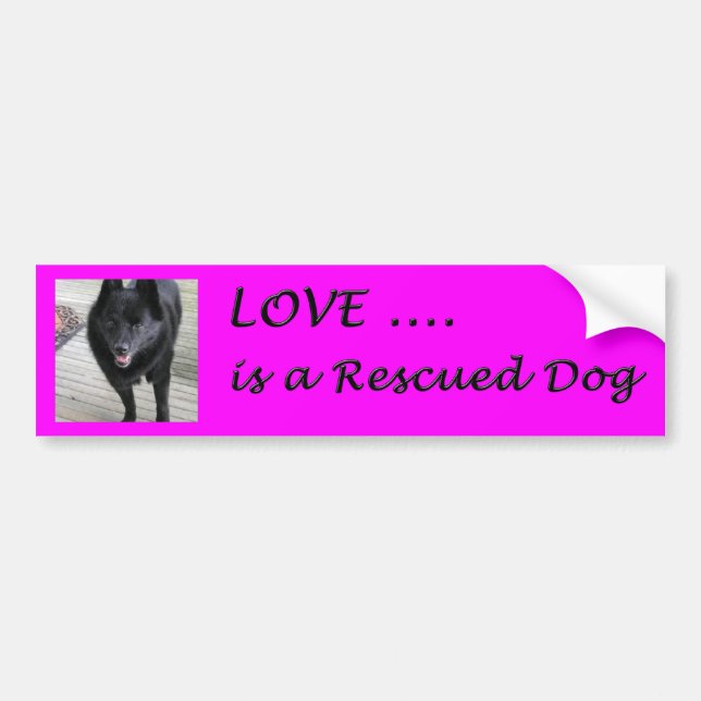 Love Is A Rescued Dog Bumper Sticker (Front)