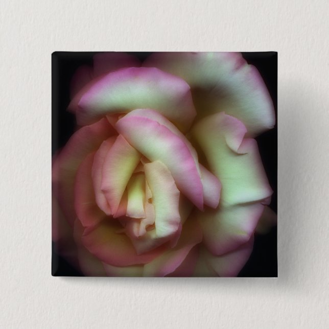 <Love is a Rose> by Nathan Griffith 2 Inch Square Button (Front)