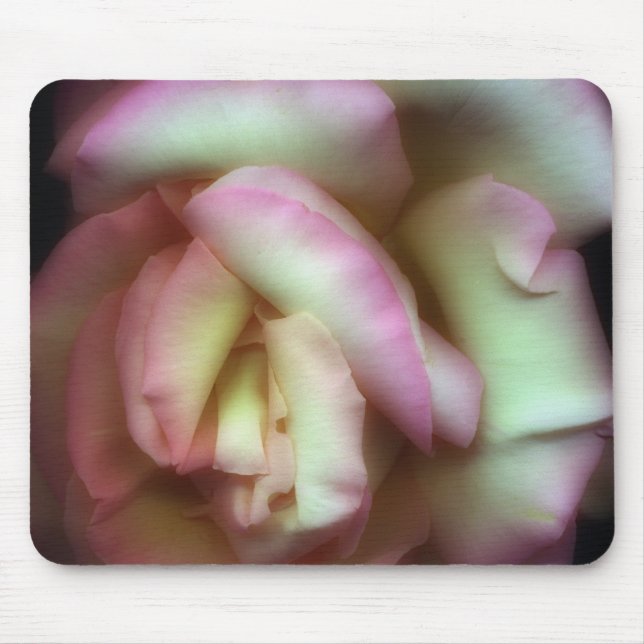 <Love is a Rose> by Nathan Griffith Mouse Pad (Front)
