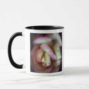 <Love is a Rose> by Nathan Griffith Mug