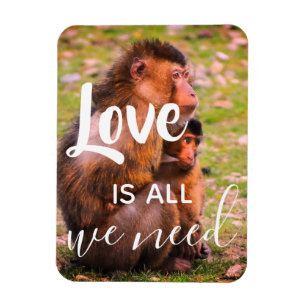 Love Is All We Need   Cute Animals Wildlife Magnet