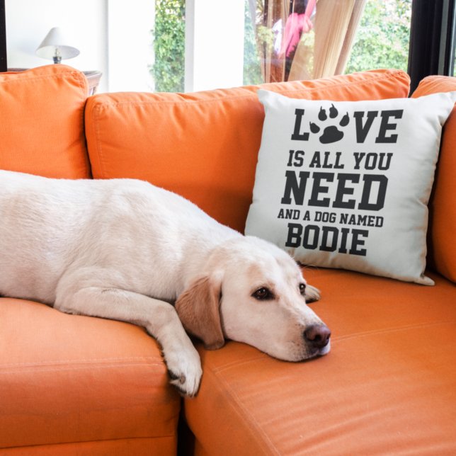Love Is All You Need And A Dog Named Personalized Throw Pillow (Creator Uploaded)