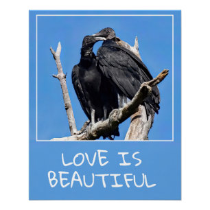 Love Is Beautiful Vultures Poster