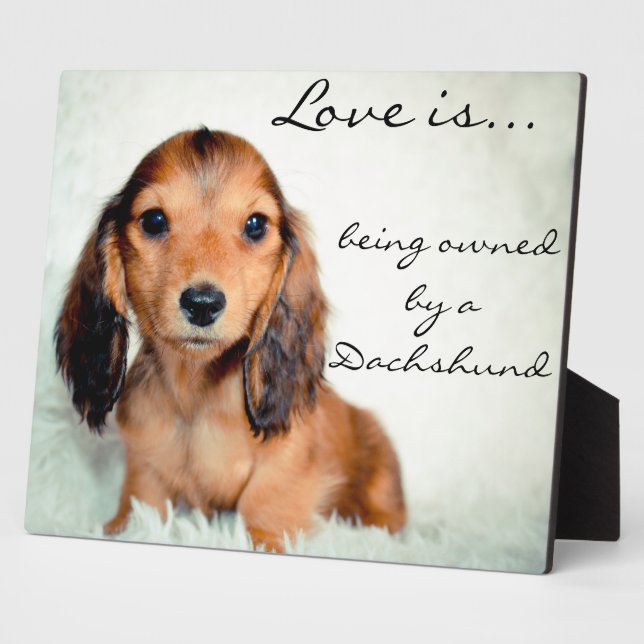 Love is being owned by a Dachshund-Pixel Plaque (Side)