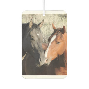 Love is in the Air Freshener