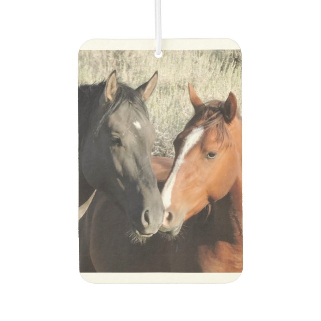 Love is in the Air Freshener (Front)