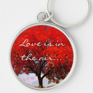 Love is in the air... keychain