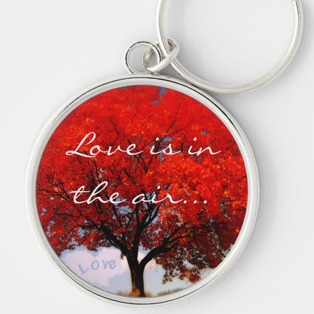 Love is in the air... keychain (Front)