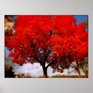 Love is in the Air Poster