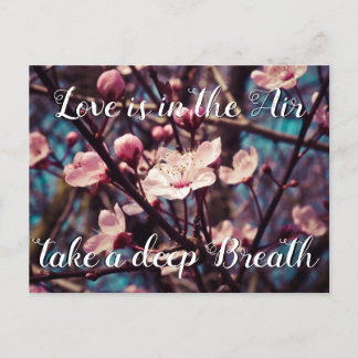 Love is in the Air take a deep Breath |  Spring Holiday Postcard