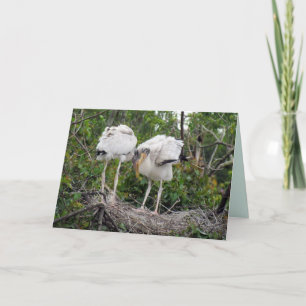 Love is In the Air - Woodstork Valentine Card