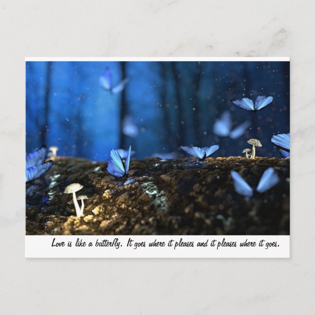 Love is like a butterfly postcard (Front)