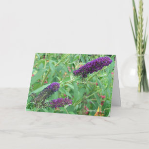 Love is Like A Butterfly Quote Greeting Card