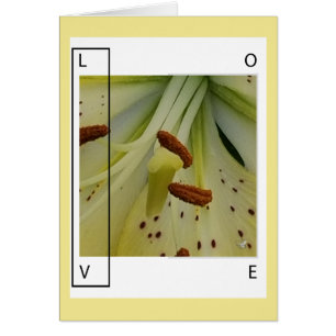 LOVE IS LILY -CHRISTIAN GREETING