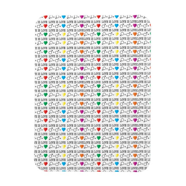 LOVE is LOVE equality quote in rainbow colours Magnet (Vertical)