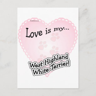 Love is my West Highland White Terrier Postcard