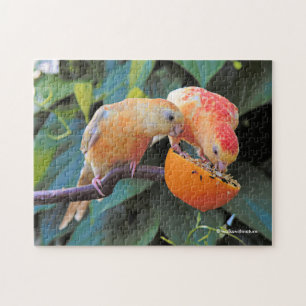 Love is Sharing: Yellow Turquoisine Parakeets Jigsaw Puzzle