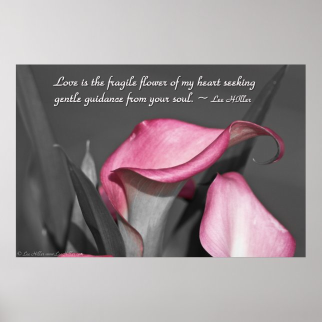 Love is the fragile flower of... Poster (Front)